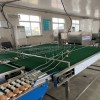 翰潤渤SDPT-500型收蛋平臺 多功能輸送機(jī) 雞蛋輸送設(shè)備